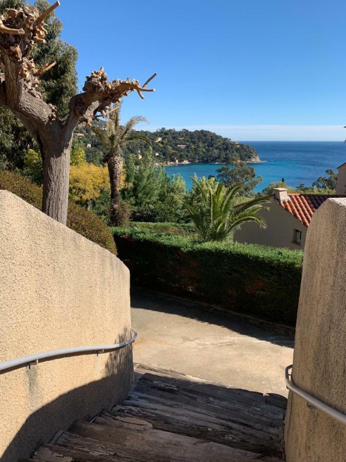 Appartement - Residence Le Paradou Le Le Rayol-Canadel-sur-Mer Εξωτερικό φωτογραφία